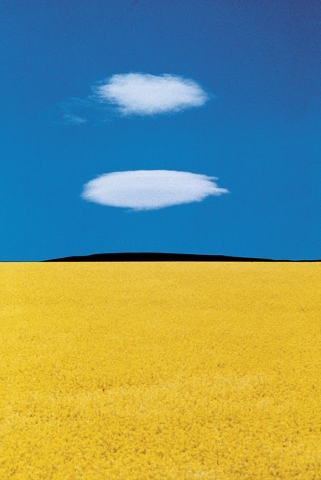 Franco Fontana – Full Color